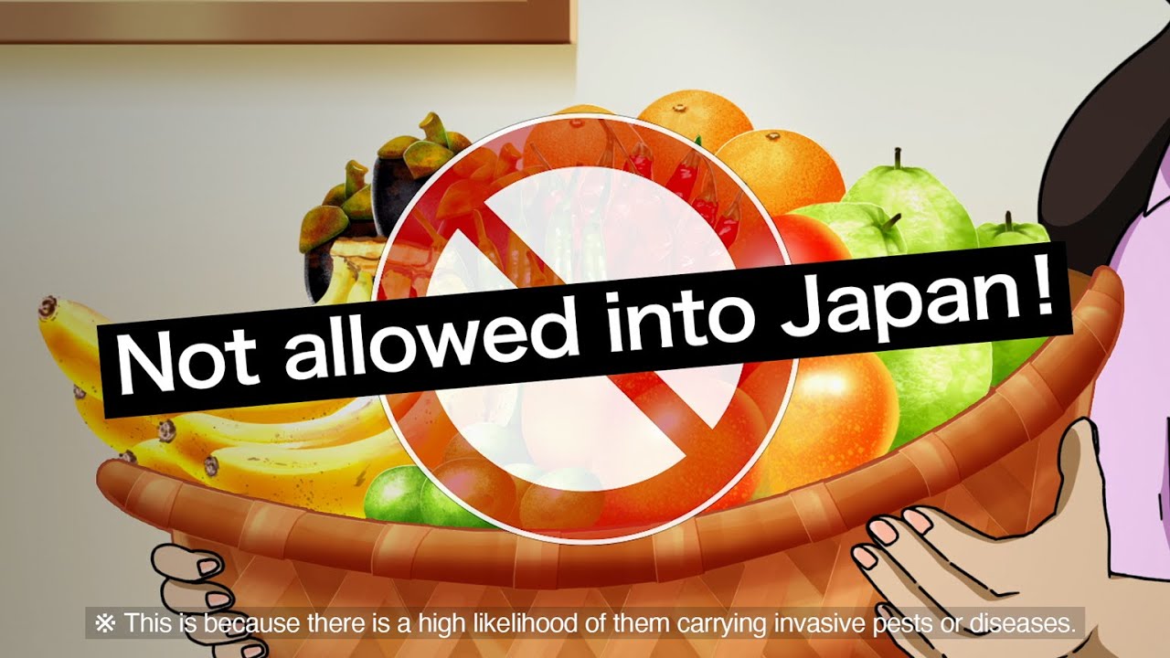 日本の植物検疫に関するお知らせ（英語版30秒）：Notice regarding plant quarantine in Japan.