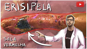Como fazer um curativo de erisipela?