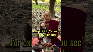 Monk Minh Tue: Stop Negative Actions from Harmful Thoughts #shorts #Mindfulness #InnerPeace #MinhTue