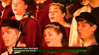 2016 Mountain VIew Tree Lighting