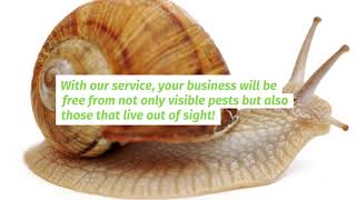 Pest Control Cedar City - Commercial Pest Control Cedar City Utah