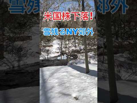 ​⚠️急落スタート？3月2日 米国株プレマーケット速報（S&P500・ナスダック） #SP500 #米国株投資 #ニューヨーク生活 #中東情勢