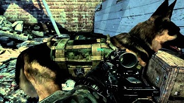 Call of Duty: Ghosts - NVIDIA PhysX Fur