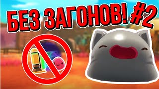 Slime Rancher. ПРОХОЖДЕНИЕ БЕЗ ЗАГОНОВ: СЧАСТЛИВЫЕ ГОРДО!