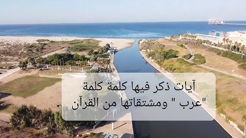 تدبر جميع الآيات التي ذكر فيها كلمة "عرب" ومشتقاتها -ترتيل القرآن والتدبر - 22 آية