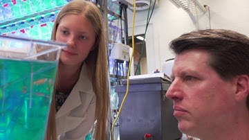 Summer Research for Incoming First-Year Students at Clarkson University