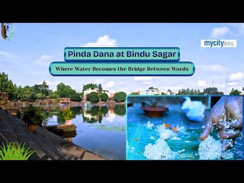 Pinda Dana at Bindu Sagar | Where Water Becomes the Bridge Between Words