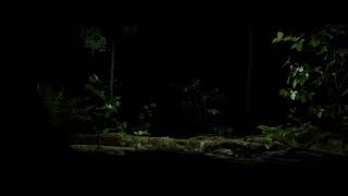 My first cinematic scene in UE5