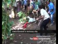 Cobra caught Kothamangalam