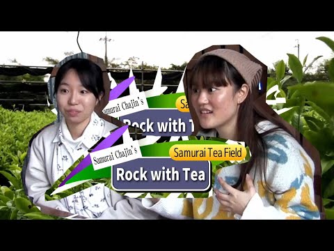 Βίντεο: Ποιο τσάι gyokuro είναι το καλύτερο;