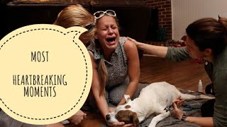Last moment of dying dog and owners| Emotional moments