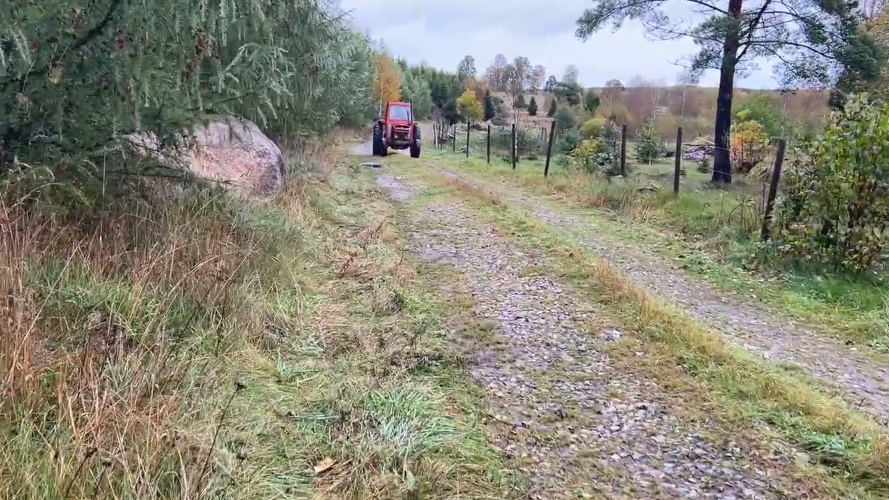 Traktor MASSEY FERGUSON 135