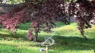 c. 1960 Buckner Midget Rotary Spinner Brass Sprinkler #irrigation #agriculture #fresno #california