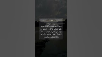 تلاوة جميلة من سورة فاطر القارئ ياسر الدوسري