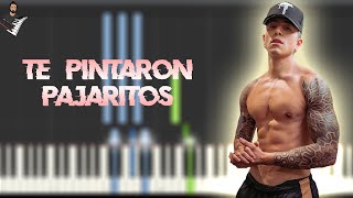 Andy Rivera - Te Pintaron Pajaritos | Instrumental Piano Tutorial / Partitura / Karaoke / MIDI