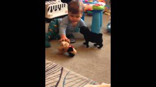 Baby Louie & Puppy Playtime!