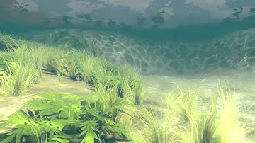 Underwater Shader