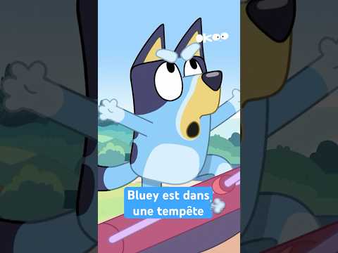 Bluey et Bingo sont dans une tempête 😆 #bluey #drôle
