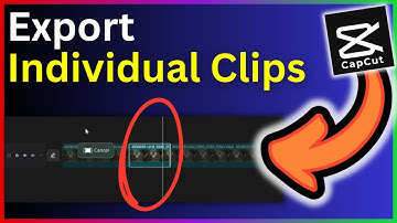 Export Individual Clips Capcut - Step By Step Guide