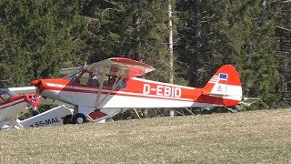 Piper Pa-18-95 Super Cub Landing At Airfield Rostock D-Ebid