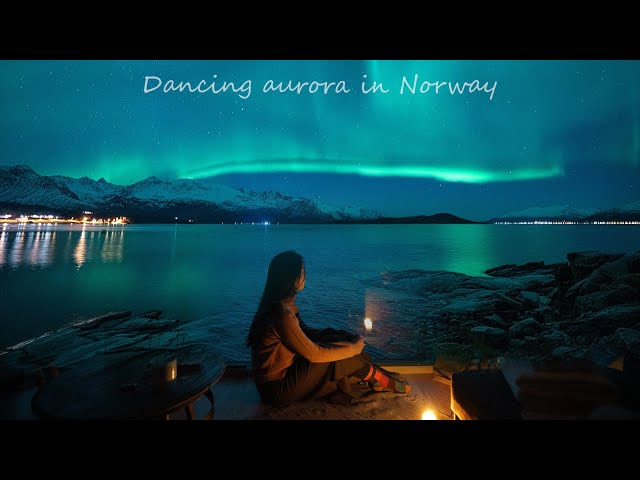 Travel vlog - Northern Lights Chase | Norway Vlog | Cozy winter nights | From Tromsø to Lofoten Islands Road Trip