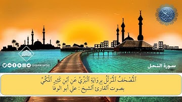 المصحف المرتل برواية الْبَزِّيِّ عَنِ ابن كَثِيرِِ المَكِّيِّ سورة النحل / الشيخ علي أبوالوفا