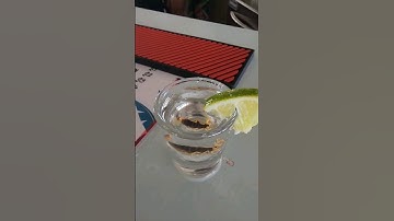 #scorpionshot #challenge #lucysbararuba #Aruba