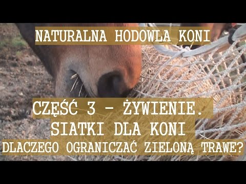 Wideo: Hodowla Koni Rasy Gelderland Hipoalergiczna, Zdrowotna I Długowieczna