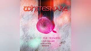 Whitesnake  Fool For Your Loving