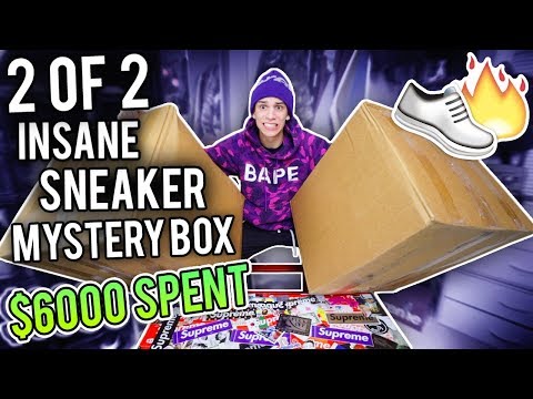 Unboxing a $6000 INSANE SNEAKER Mystery Box! (2 OF 2)