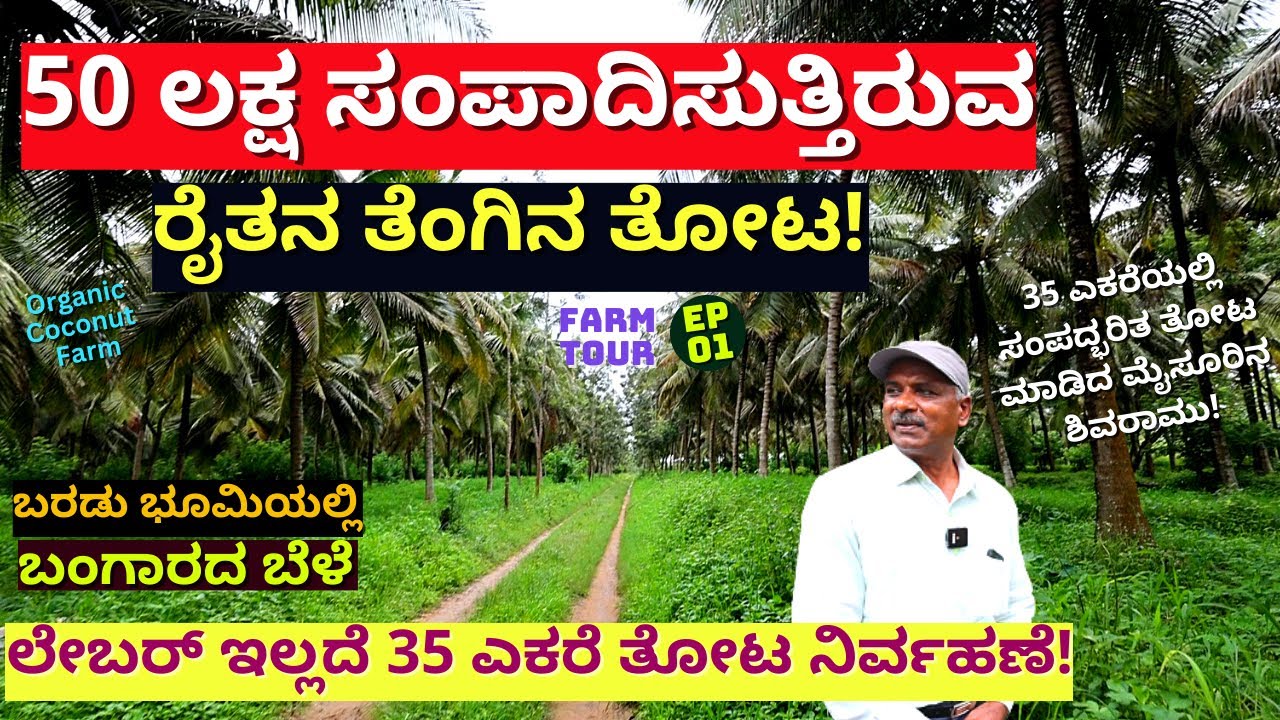 FARM TOUR-"ವರ್ಷಕ್ಕೆ 50 ಲಕ್ಷ ಆದಾಯ ಕೊಡುತ್ತಿರುವ ಮೈಸೂರಿನ ತೆಂಗಿನ ತೋಟ ಟೂರ್!"-E01-Coconut Farm-Kalamadhyama