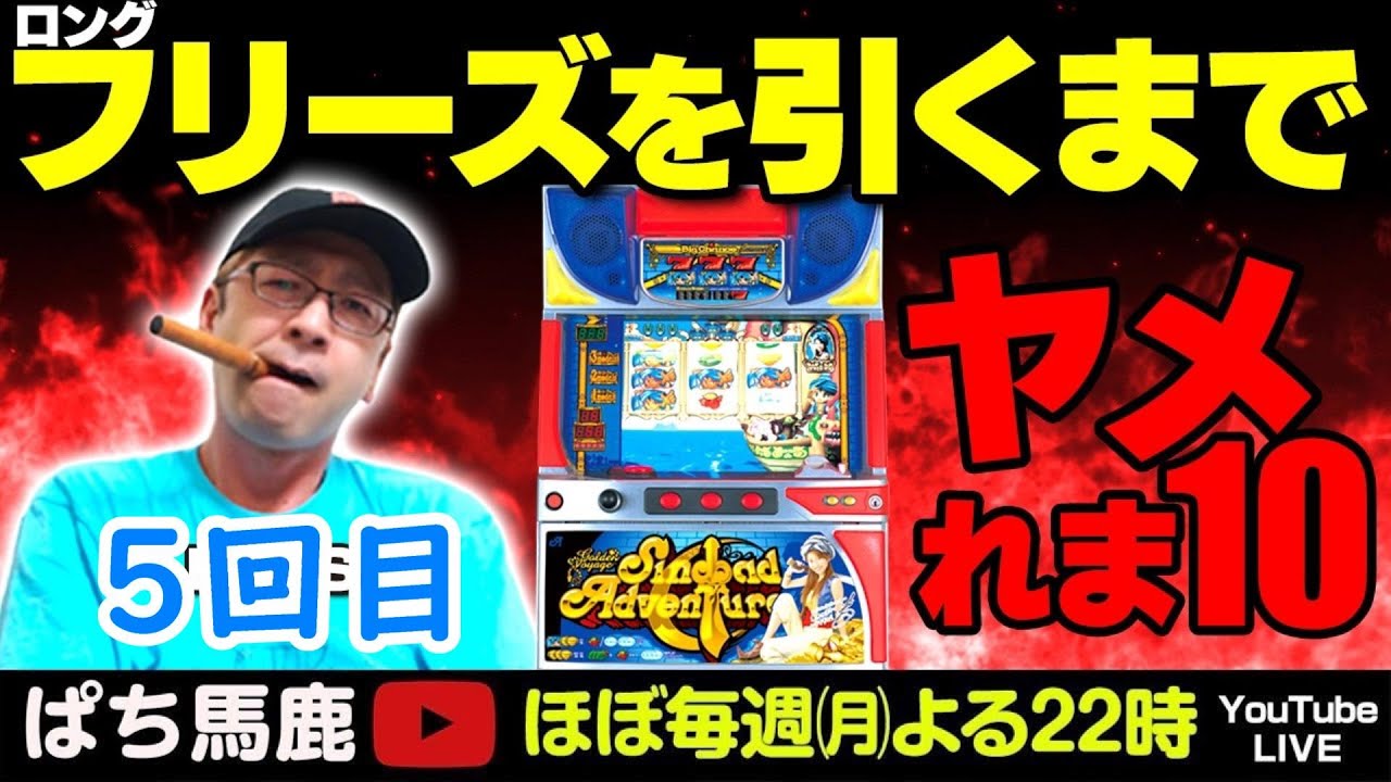 ンドバッドアドベンチャーは榎本加奈子でどうですか 　４号機　送料込 4号機シンドバッドアドベンチャーは榎本加奈子でどうですかでロング