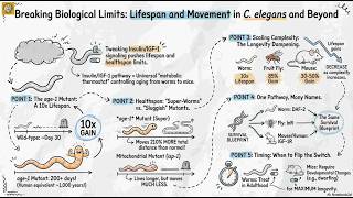 Breaking Biological Limits: Lifespan and Movement in C. elegans and Beyond