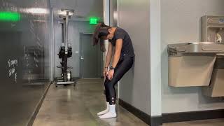 Standing Segmental Roll Down