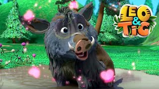 Leo and Tig   Compilation about love  Funny Family Good Animated Cartoon for Kids