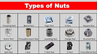 Types of Nuts, Usages and Applications