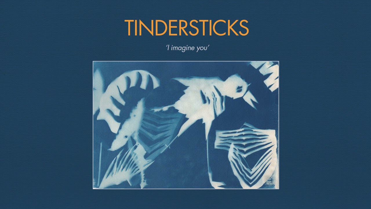 Tindersticks - I imagine You (Official Audio)