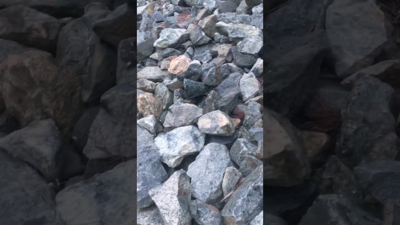 Fishing at oyster creek nj 🐟 YouTube