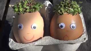How to make watercress eggheads