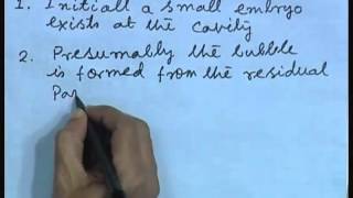 Mod-01 Lec-32 Lecture-32-Ibullition from Hot Surfaces