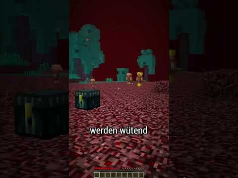 ✔ 5 UNBEKANNTE FAKTEN IN MINECRAFT (#2) #shorts