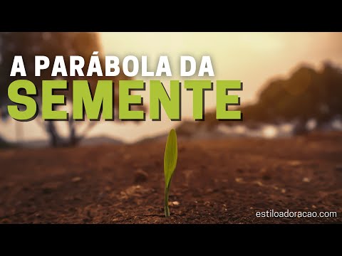 O SIGNIFICADO DA