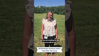 Meet one of our newest UK Extension Summer Interns! #UKYExtension #FollowTheIntern