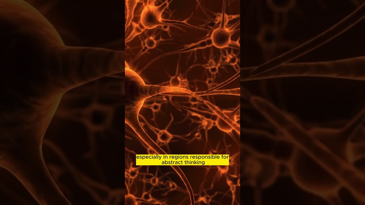 Neurodrine (Did you know that the human brain continues…#shorts)