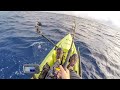 I didn't stand a chance on the first hookup | Double rainbow Mahi Mahi and yellow fin tuna