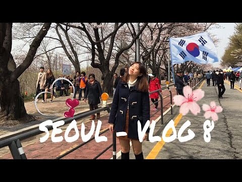 S.KOREA - SEOUL #VLOG 8 - Cherry Blossoms and fresh seafood!!