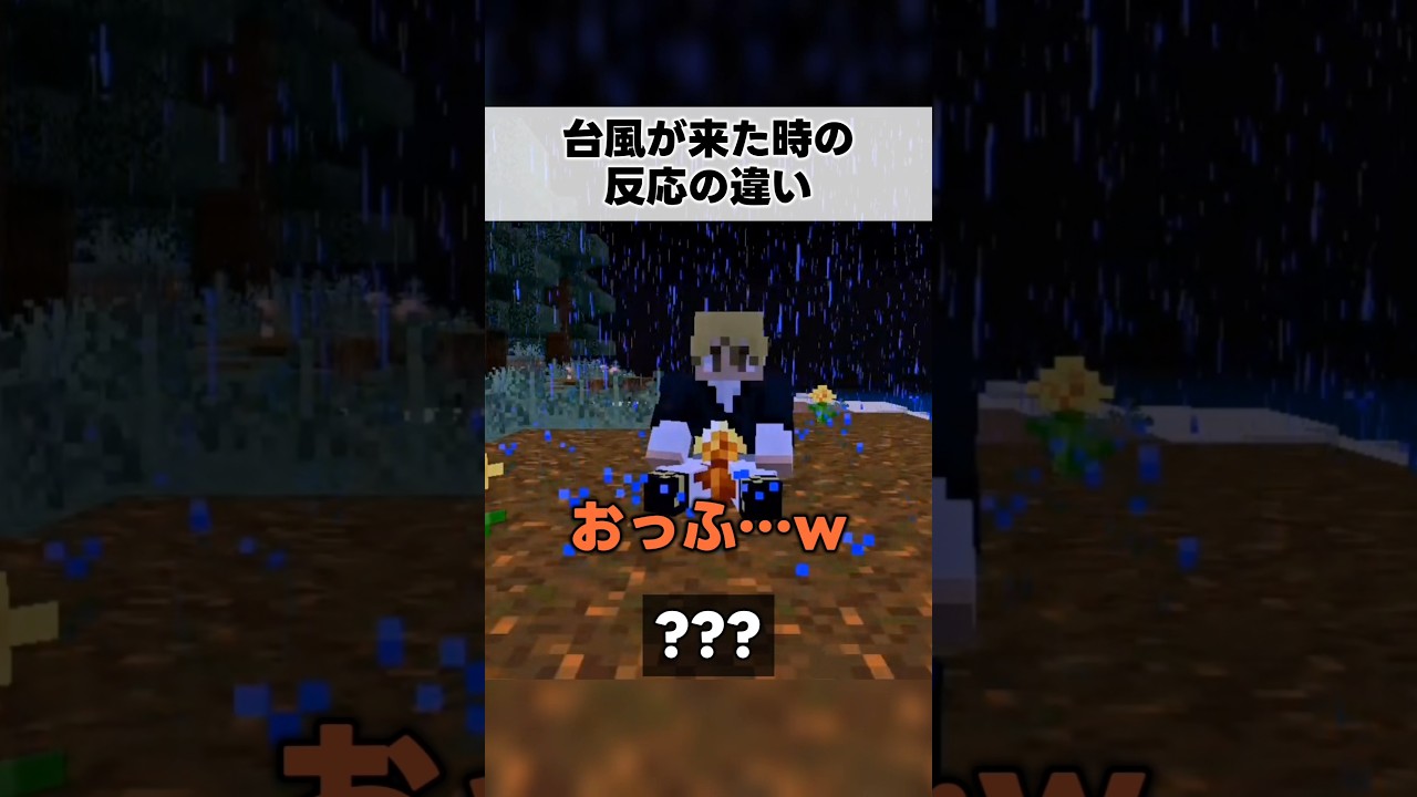 皆は台風好き？#minecraft