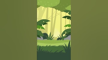 Forest Jungle - Free Download Cartoon Background Loop