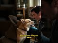 Your Best Friend#dog #dogs #bestfriend
