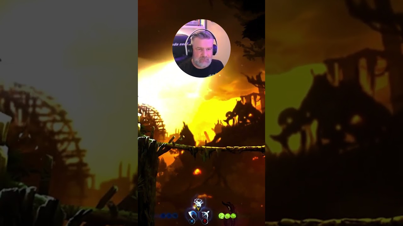 Ori in 4K vs Potato Mode – Spot the Difference 👀